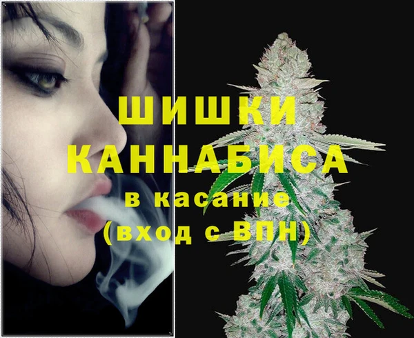 спиды Аркадак