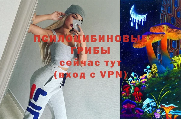 2c-b Арсеньев