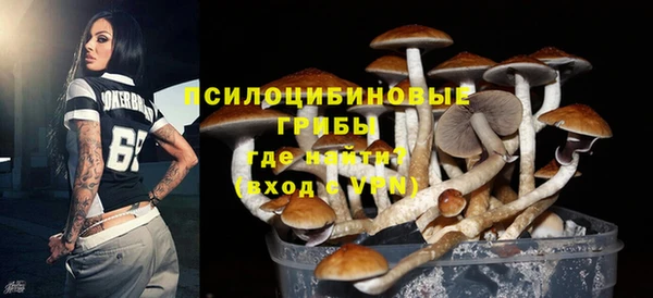 шишки Алексин