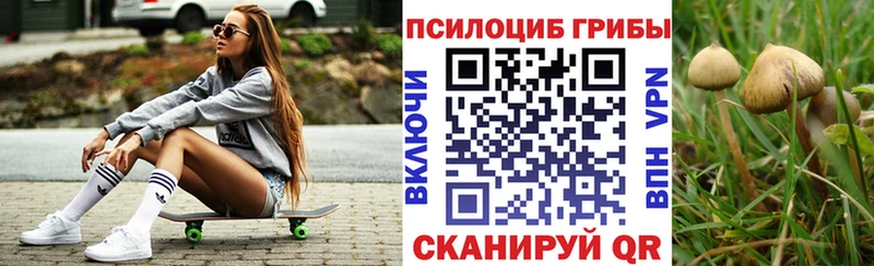 Псилоцибиновые грибы GOLDEN TEACHER  Судак 